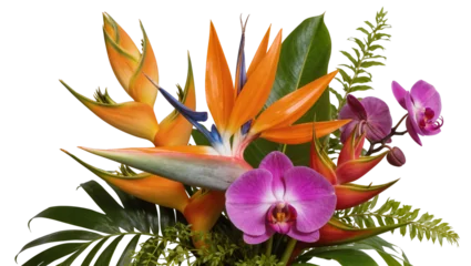 Fotobehang Orchidee Isolated vibrant tropical flower arrangement with Bird of Paradise and purple orchids  © David