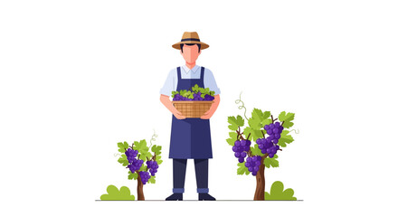 Obraz premium A smiling farmer holding a basket of freshly harvested purple grapes in a vineyard. EPS Editable. Vector Illustrations.