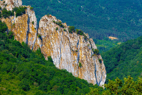 Aude Vall&eacute;e de Bugarach (11) FR