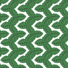 Mint leaf geometric vector seamless pattern. Hand drawn cartoon green peppermint on white background. Organic herbal tea for restaurant menu design. Natural botanical textile for kitchen wallpaper. © NadyaSaen 