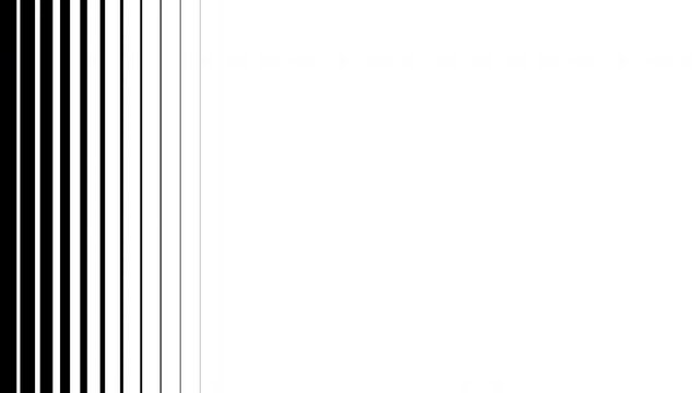 Minimal Vertical Stripe Transition Animation Black and White Background. 4K