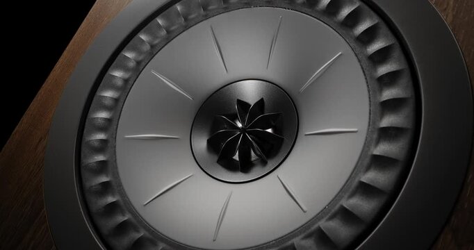 Cinematic Woofer Pulse Macro Shot