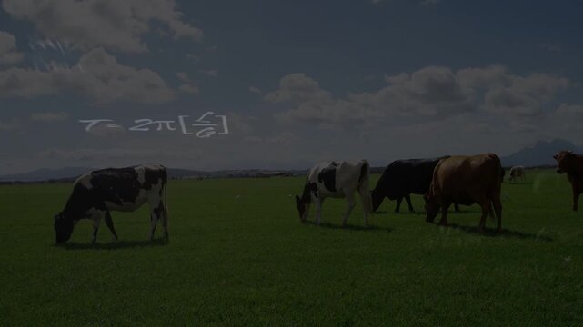 Herd of cows grazing in green pasture near hills while math and molecules appearing showing science