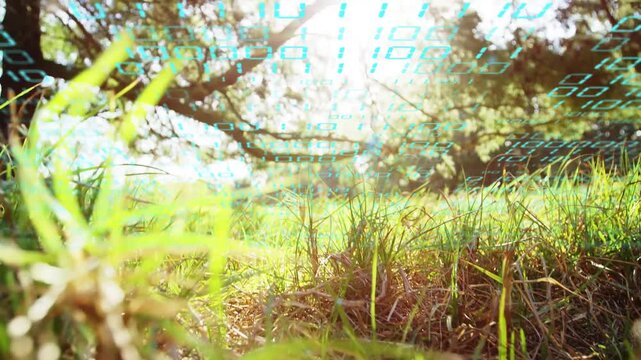 Rising camera revealing central grass and soil at sunlit meadow under tree, with cyan code overlay