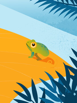 Small Chameleon on Ground Wildlife Reptile Close Up Nature