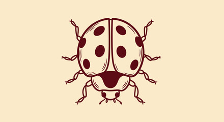 A vector illustration of a ladybug outline sketch in a simple style. © Crushin