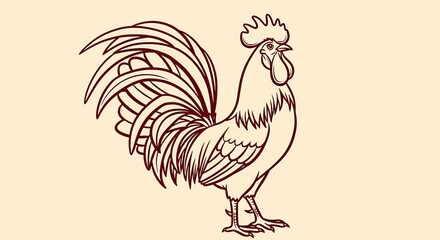 A vibrant rooster outline sketch vector illustration stands proudly on ground © Crushin