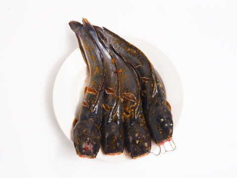 Fresh Raw Spiced Catfish on White Plate Ready for Cooking Against White Background