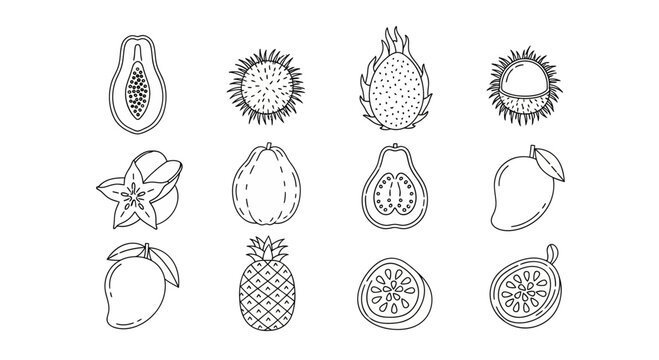 Outline vector collection of tropical fruits like papaya, mango, dragon fruit, and pineapple, suitable for healthy eating themes, culinary concepts, and refreshing beverage branding.