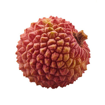 Single fresh lychee fruit with red bumpy skin isolated on a white background, for food