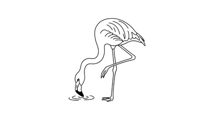 Obraz premium Flamingo Drinking Water Line Art