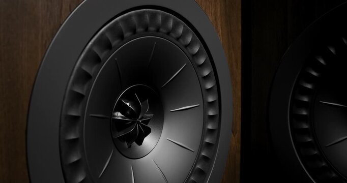 Analog Style Hi-Fi Speaker Motion