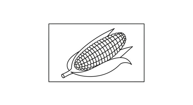 Fresh Corn on the Cob with Green Leaves, Black and White Line Art Illustration