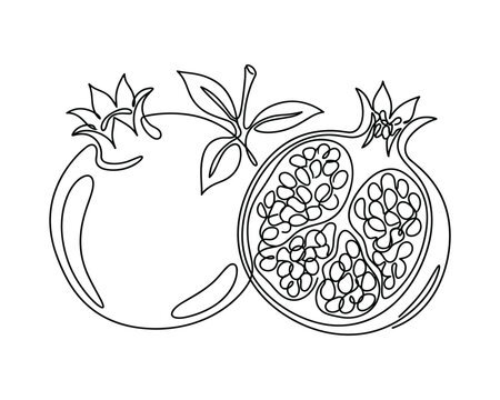 Single line drawing of pomegranate with leaves and branch and half of fruit
