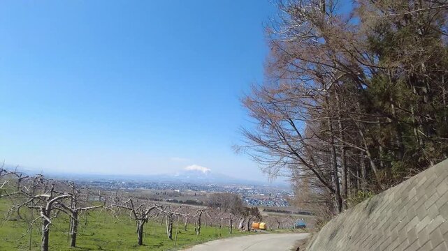 【4K】青森の風景：リンゴ園越しに望む残雪の岩木山。黒石市の丘陵を走るシネマティックな走行映像素材[4K] Scenic Drive in Aomori: Mt. Iwaki Viewed Through Apple Orchards in Kuroishi City, Japan　【4K】青森の風景：リンゴ園越しに望む残雪の岩木山。黒石市の丘陵を走るシネマティックな走行映像素材[4K] Scen