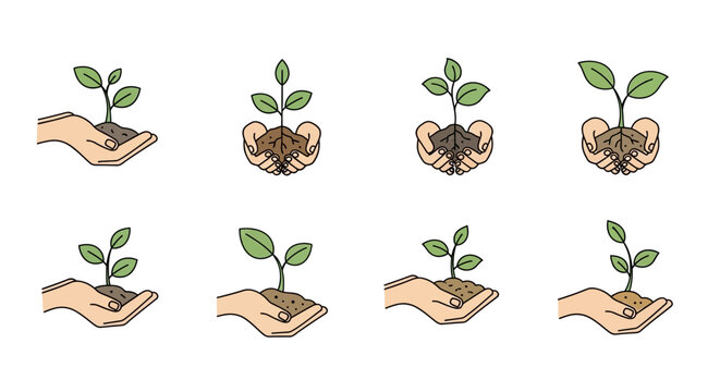 Small green plants in human hands.