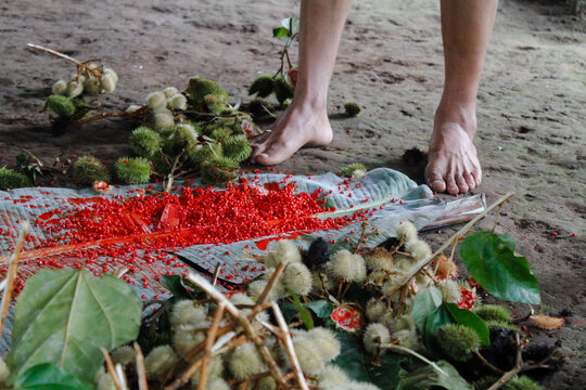 Close-up detail of bare Ts&aacute;chila feet standing with open achiote pods.