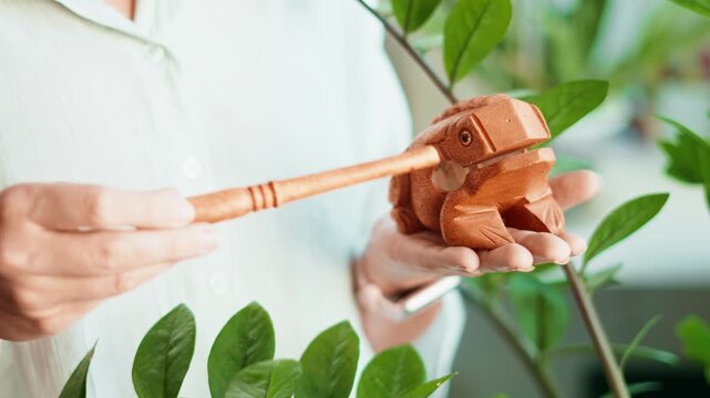 Wooden money frog figurine in hand near green plants. Feng shui symbol of wealth, luck and prosperity, home decor and financial success concept in calm natural environment. Zamioculcas at home