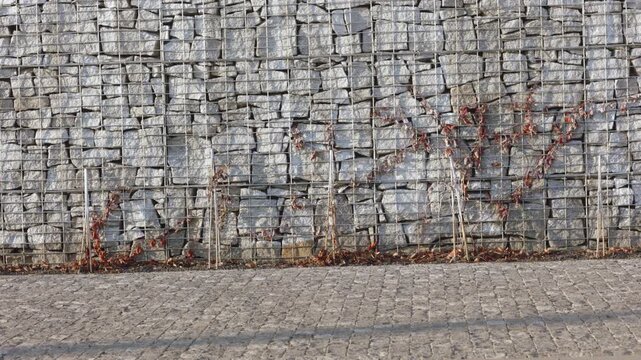 A woman dressed in a brown autumn coat walks across a cobblestone pavement, pulling a blue hard-shell suitcase past a textured stone wall in the sunlight.