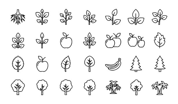 Botanical tree outline icon set with roots branches leaves and fruit pictograms in clean vector illustration
