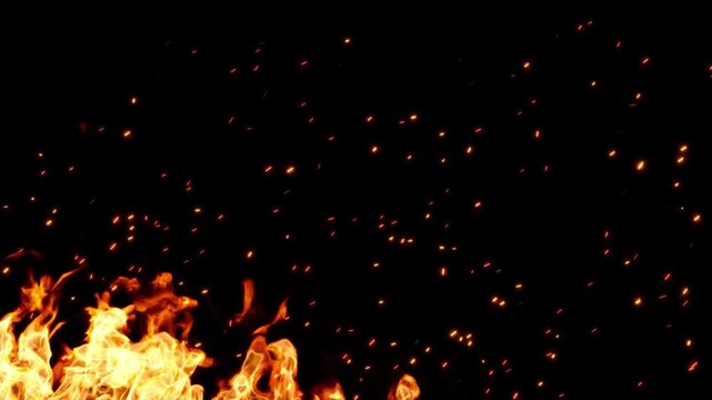 Burning fire rising with sparks flying movement on black backgrounds rendering 4k