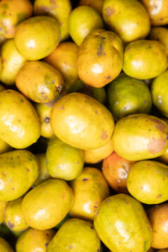Brazilian Fruit Jocote Spondias Purpurea - Delicious Tropical Fruit