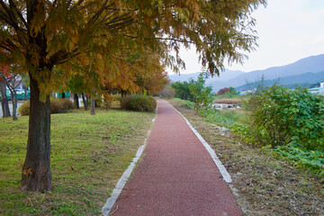 Fototapeta premium Autumn Path Along Taehwagang