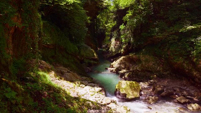 A beautiful mountain river with turquoise water flows through a deep, rocky canyon. The gorge is covered in lush green trees, moss, and ivy, with sunlight filtering through the leaves