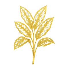 Fototapeta premium PNG Elegant golden botanical leaf illustration.