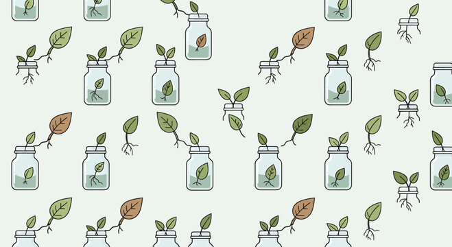 Plant Sprouts Growing in Jars with Water, Repeating Pattern Background