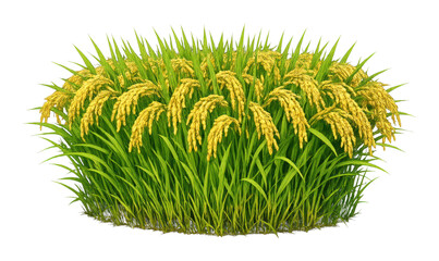 Fototapeta premium PNG Lush rice plant illustration.