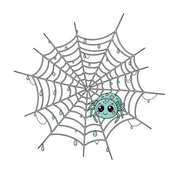 A whimsical spider sitting in the center of an intricate web design