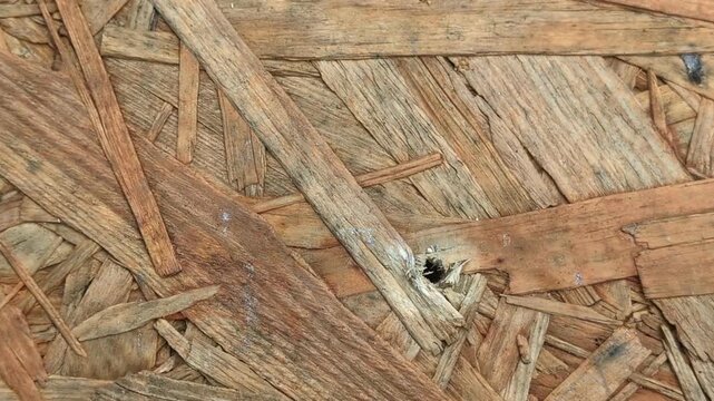 OSB board texture. Close up of oriented strand board wooden panel. Panning left on raw timber chipboard surface. Candid construction material for building and interior design.