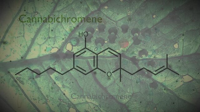 Cannabichromene or CBC molecular structural chemical formula. Futuristic science backdrop. Pharmacology concept