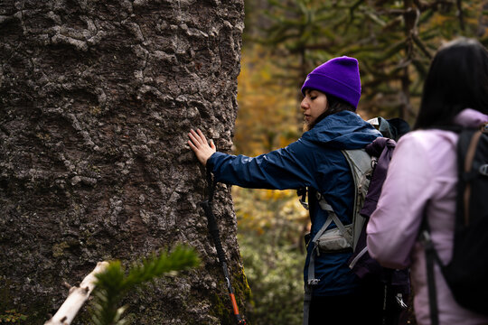 Un joven excursionista ciega conectando con la naturaleza a trav&eacute;s del contacto de su mano con un &aacute;rbol.
