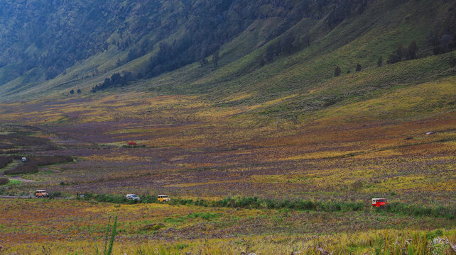 Landscape of the distant green and golden hills of Teletubbies Hill in Mount Bromo with several cars passing below the hill