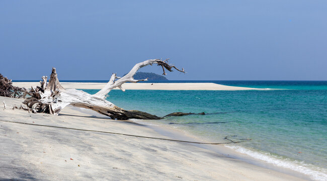 Koh Adang beach, Tarutao National Park. White sand and driftwood on a quiet shoreline. Turquoise Andaman Sea under clear blue sky.