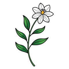 Obraz premium anagallis monelli flower line art on white flower