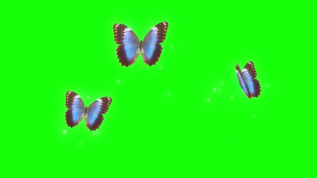 Three blue butterflies with brown wings flying on a green background with sparkles