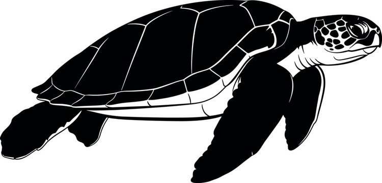 Black and white sea turtle vector illustration isolated on white background for marine life conservation themes and ocean nature designs.