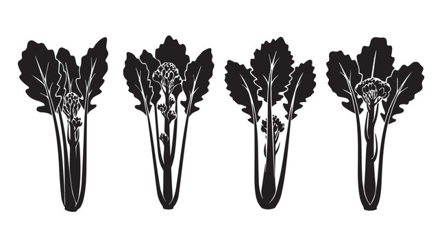 Broccoli Rabe stalks with florets in a clean graphic silhouette against a white background