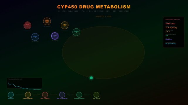 A dynamic digital simulation for AI Drug Discovery showcasing the cytochrome P450 drug metabolism pathway and real-time pharmacokinetic data visualization.