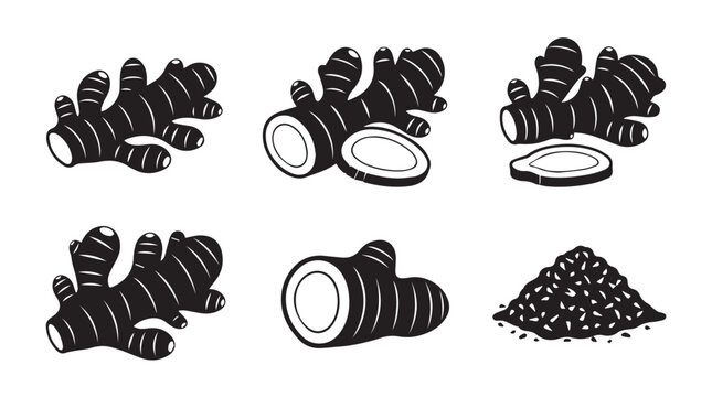 Ginger root and powder illustration set with graphic linework and solid black fill
