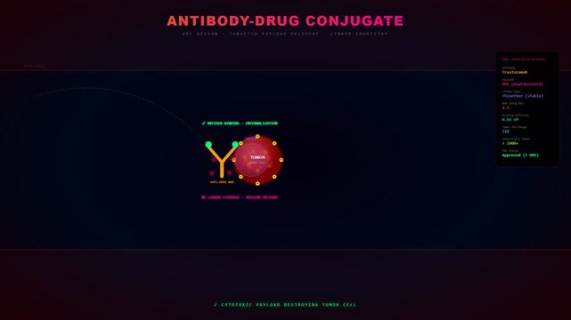AI Drug Discovery drives the development of innovative antibody drug conjugates for targeted cancer therapy and tumor shrinkage demonstrated in a scientific animation.