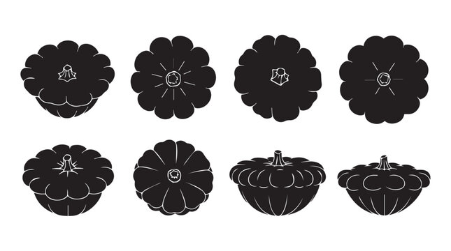 Pattypan squash silhouettes in various views against a white background