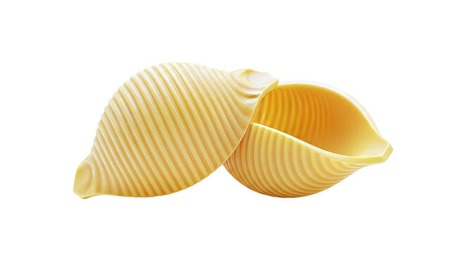 Two Jumbo Pasta Shells