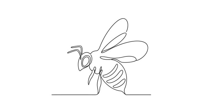 Minimalist Bee Line Art Drawing, Single Continuous Line, Insect Vector Illustration