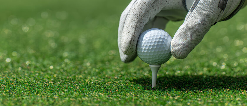 Golf glove hand ball tee grass closeup sport player outdoor golfer hand placing golf ball on tee on short green grass