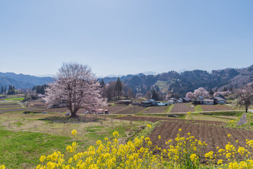 長野県小川村成就地区の春の風景 © Miyuki Motomura