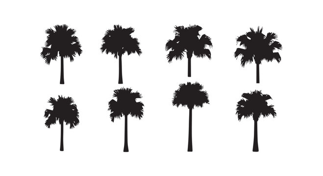 Aerial view of a tropical palm plantation showcasing uniform rows of coconut trees